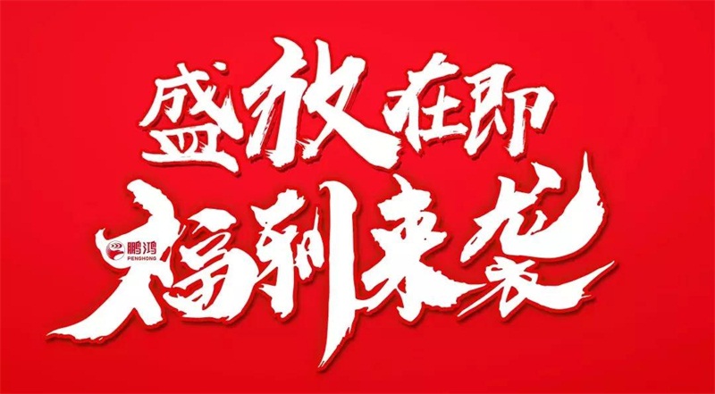 再拓疆域！鵬鴻We+定制&紅星美凱龍聯(lián)袂亮相烏魯木齊