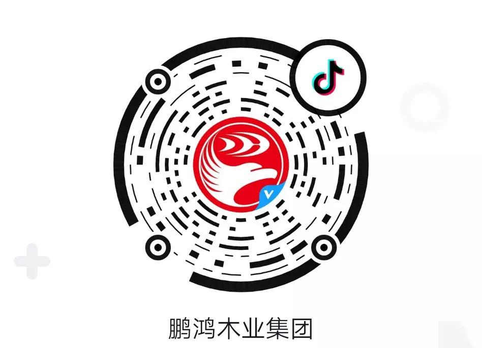 這廂有禮丨這個春節(jié)我最鴻，抖音相伴幸福年